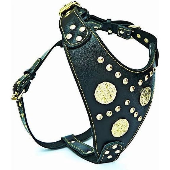 The ''Maximus'' Leather Dog Harness Black & Gold