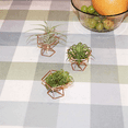 thumbnail image 2 of Paquete de 20 soportes para plantas de aire, soportes para plantas de aire, soportes para Tillandsias, contenedor para plantas purificadoras de aire, soporte para helechos de aire, oro rosa, 2 of 7