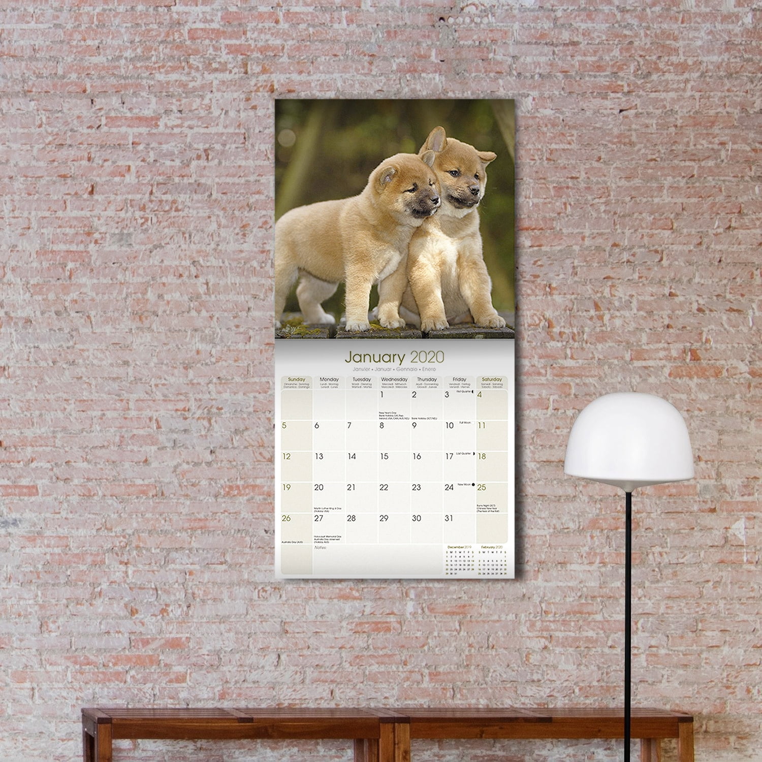 Shiba Inu Calendar 2020 Shiba Inu Dog Breed Calendar