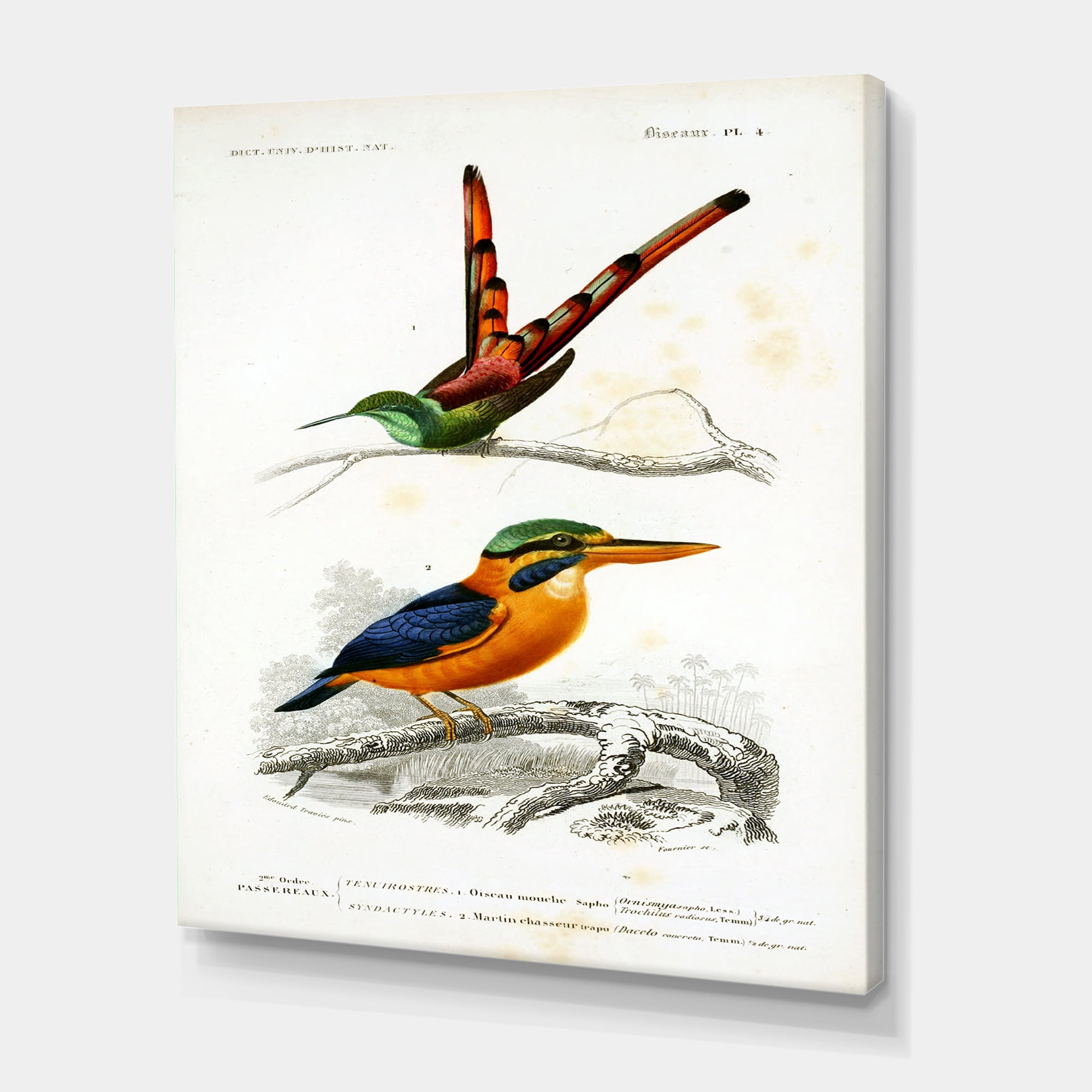 Designart ' Ancient Bird I ' Traditional Canvas Wall Art Print