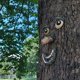 thumbnail image 3 of Old Man Tree Hugger, Garden Peeker Yard Art, Yard Art Sculpture Decorations Outdoor Sculpture Tree Face Garden Backyard Decoration, Funny Resin Tree Face Birdfeeder (B), 3 of 4