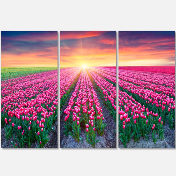 Designart 'Blooming Tulips at Sunrise ' Multipanel Photography Metal Wall Art