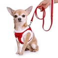 thumbnail image 2 of Pet Artist Warm Fleece Small Dog Vest Harness and Leash for Pet Puppy Cat Walking Chihuahua, 2 of 11