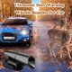 thumbnail image 3 of Repelente ultrasónico de silbatos de advertencia de ciervos para automóviles, silbatos de ciervos para vehículos, dispositivos de advertencia de ciervos para automóviles, silbatos de ciervos, 3 of 5