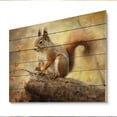 thumbnail image 2 of Designart "Energetic Squirrel I" Animals Print on Natural Pine Wood, 2 of 5