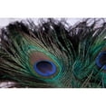 thumbnail image 3 of Berzel, Erin 18x13 Black Modern Framed Museum Art Print Titled - Peacock Feathers II, 3 of 5