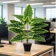 thumbnail image 6 of Artificial Money Tree Potted Plant Large Faux Greenery Fake Plant for Garden Porch Office Home Indoor Outdoor Decor, 6 of 6