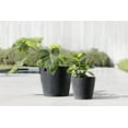 thumbnail image 3 of Ecopots Amsterdam Durable Modern Round Indoor/Outdoor Recycled Based Composite Flower Pot Planter, Dark Grey, 10", 3 of 4