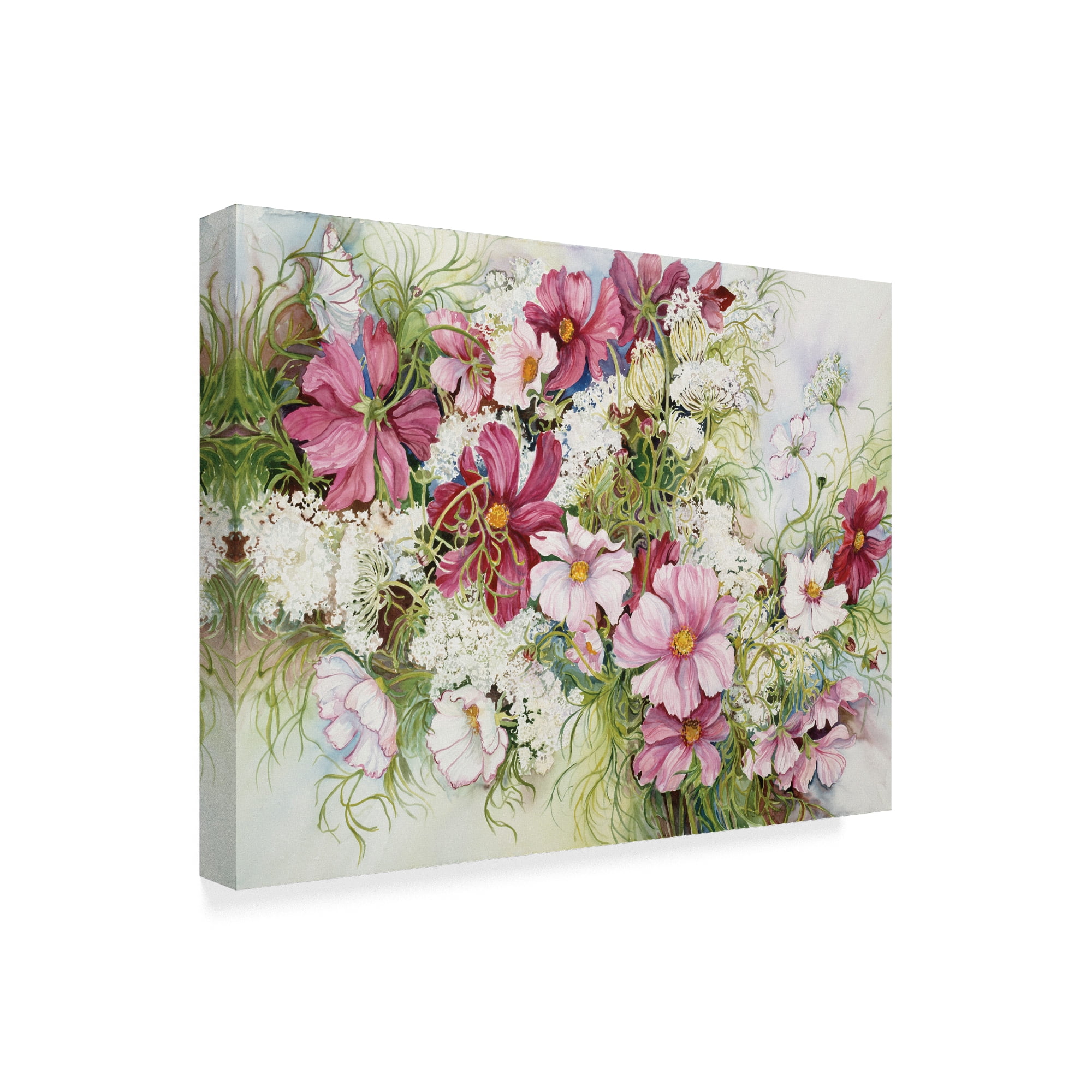 Trademark Fine Art 'Cosmos And Queen Ann Lace' Canvas Art by Joanne Porter