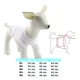 thumbnail image 2 of Playera Tipo Sueter Para Perritos Mascota Flash, 2 of 2