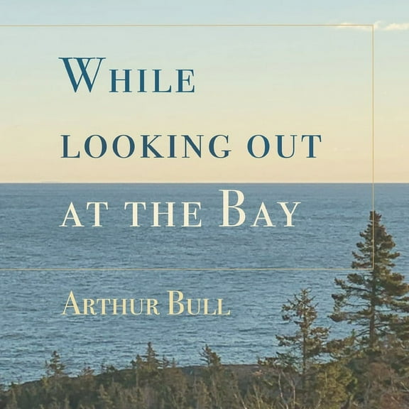 While looking out at the Bay, (Paperback)