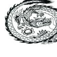 thumbnail image 3 of MERIGLARE Fond d'Aquarium Réservoir Papier Peint Vivarium Dragon TG, 3 of 9