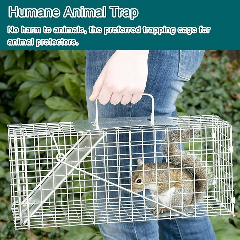 Mouse Trap Cage, Highly Sensitive Live Trap, Reusable