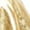 C Gold, variant on Womens Skirts and Dresses Women's Casual Fashion Shiny Flared Pleated A-Line Mini Skirt