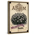 thumbnail image 6 of Marmont Hill "Flower Packet Alyssum" Painting Print on Canvas, 6 of 7