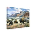 thumbnail image 2 of Trademark Fine Art 'Goodnights Legacy' Canvas Art by Jack Sorenson, 2 of 4