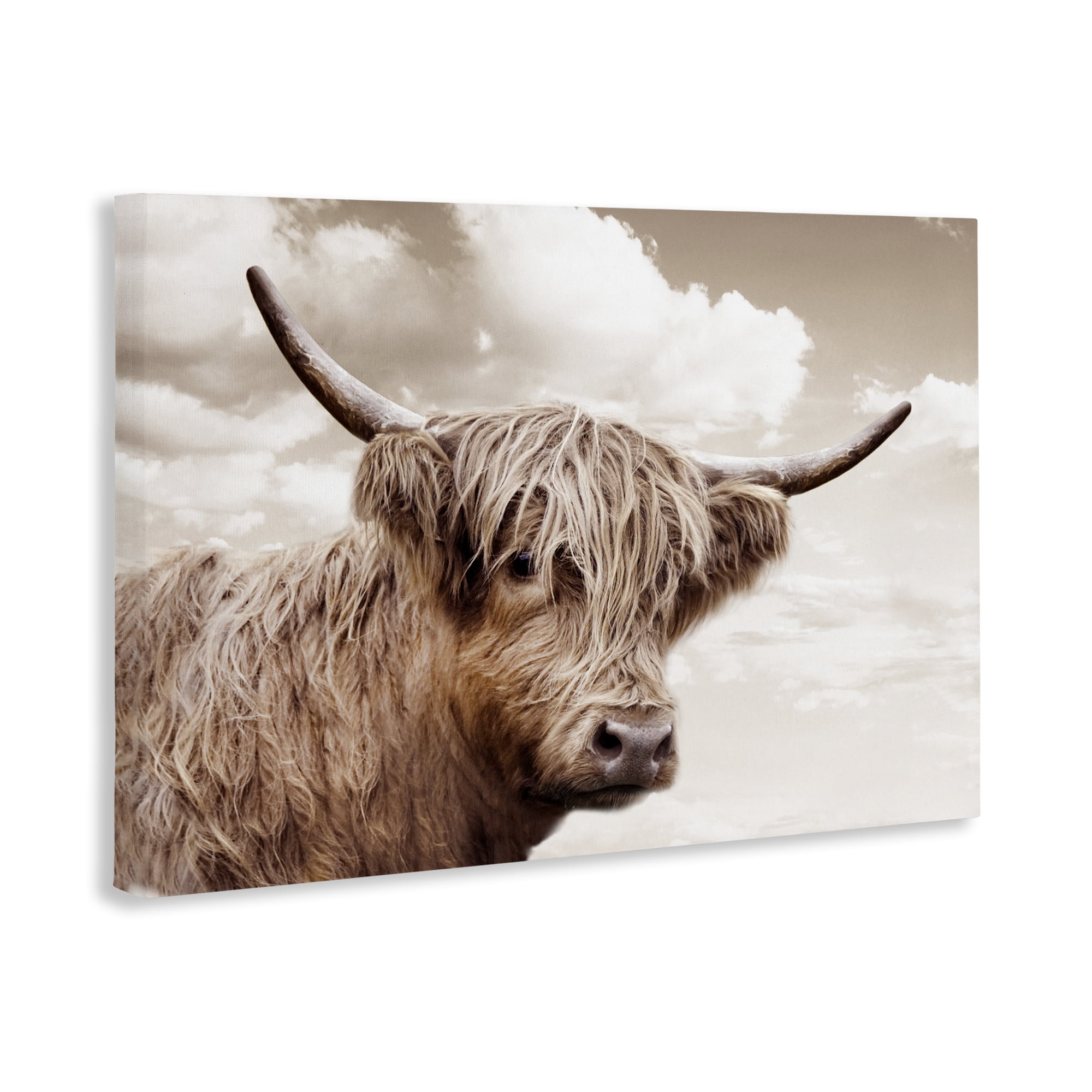 Stupell Industries Shaggy Highland Cow & Clouds Canvas Wall Art, design by CAD Designs