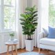 thumbnail image 1 of Árbol de Higuera de Hoja de Violín con Macetero Blanco - Plantas de Higo de Seda Falsas con Hojas Grandes de Violín, Árboles Artificiales para Decoración del Hogar Interior, 1 of 4