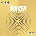 thumbnail image 2 of NIXCER PROFESSIONAL SERIES 6" CNC HAIR THINNING SCISSOR GOLD, 2 of 4
