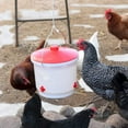 thumbnail image 3 of Heated Chicken Waterer, Hanging Poultry Water Fountain, 3 Gallon, Red - Plastic Water Dispenser with Heater for Chicks, Chickens, and Livestock, 3 of 8