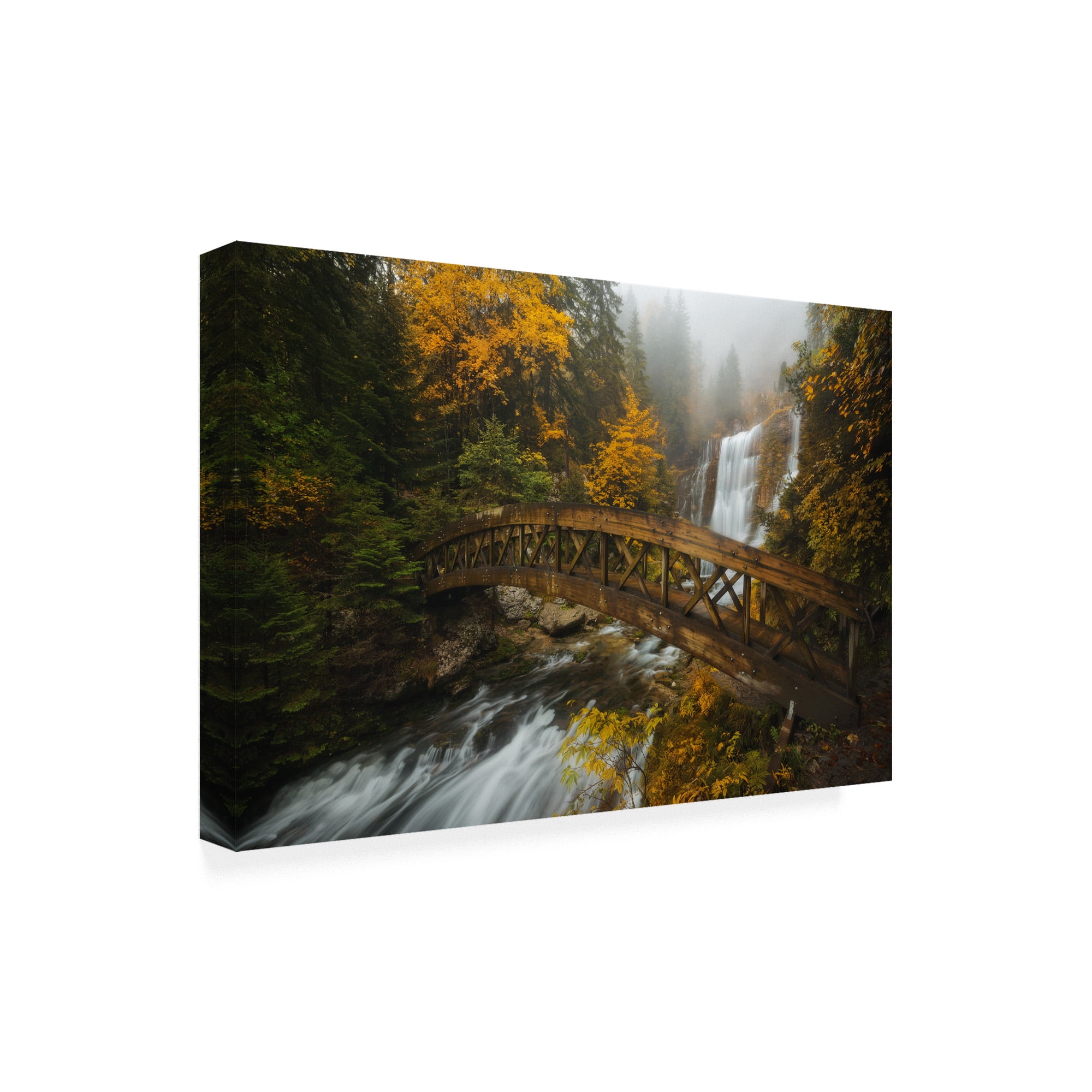 Trademark Fine Art 'A Bridge in the Forest' Canvas Art by Enrico Fossat