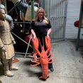 thumbnail image 3 of Lobster Life Size Statue, 3 of 7