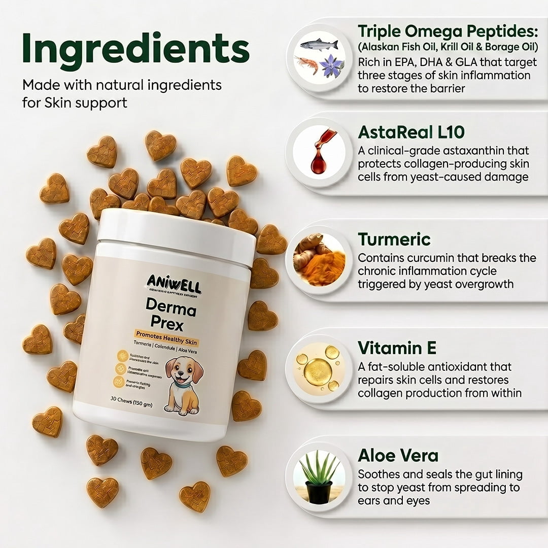 Aniwell DermaPrex Dog Itch Relief Chews | Vitamin E & Borage Oil | Anti Itch Dog Supplement | Seasonal Allergy & Itchy Skin Support | All Breeds