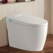 Tankless Smart Toilet With Bidet Built In, One-piece Bidet Toilet Seat, Auto Flush,Heated Seat, Warm Water and Dry, Adjustable Temp,Remote Control Side Know   WL RR