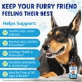 thumbnail image 6 of Petpya Hip And Joint for Dogs 2PC Joint Pain Relief & Inflammation Support Promote Mobility Bacon Flavor 60ml, 6 of 9