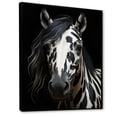 thumbnail image 2 of Designart "Black Horse White Serenity I" Animals Floater Framed Canvas Print, 2 of 7