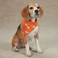 thumbnail image 2 of Aria North DT7133 69 Trick or Treat Bandana Org, 2 of 3