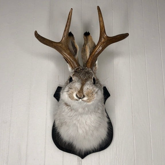 Easter Mini Faux Taxidermy Animal Head Wall Decor, Handmade Farmhouse Decor, Rabbit Head with Antlers Wall Mount, Animal Head Wall Decor