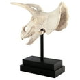 thumbnail image 6 of Design Toscano Triceratops Dinosaur Skull Fossil Statue on Museum Mount, 6 of 9