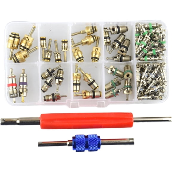 Ac Valve Core,AC Valve Core Removal Tool for R12 & R134a, Leakproof Automotive AC Valve Stem Tool, Replacement & Repair Kit for Mechanics & Technicians(RL 102 PCS)