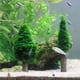 thumbnail image 4 of Árbol de musgo para pecera, simulación de musgo de Navidad, árbol de musgo para acuario de Navidad, árbol de musgo para paisaje, resultados impresionantes, 4 of 9