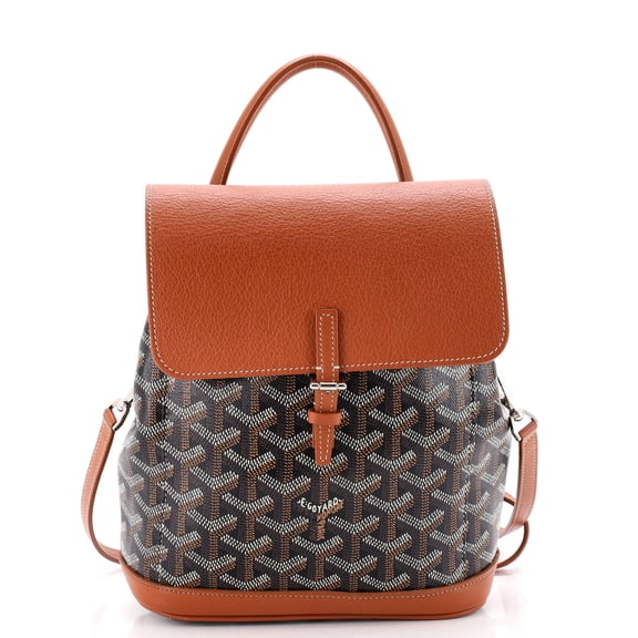 Pre-Owned Alpin Backpack Coated Canvas Mini By Rebag