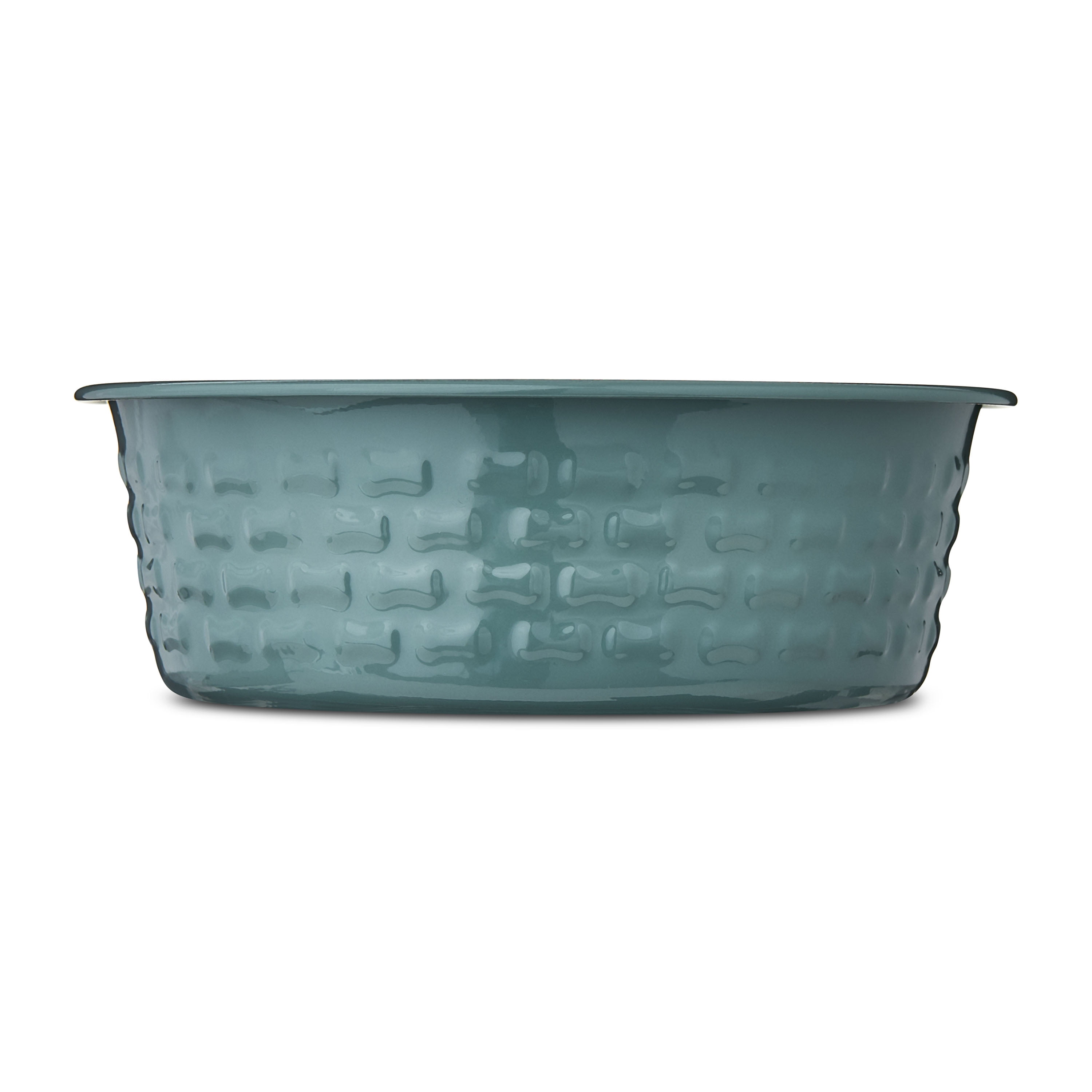Vibrant Life Medium Stainless Steel Embossed Dog Bowl, Green Bones