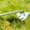 A, variant on Garden Hand Weeder Tool,Portable Weed Puller with Long Handle, Weeding Artifact Tool, Stainless Steel Grass Removal Tool,Weed Remover Tool for Farm(17.7in,Stainless steel handle)