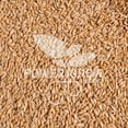 thumbnail image 6 of Einkorn Wheat - 100% Organic Einkorn Whole Grain Wheat (5 Pounds), 6 of 7