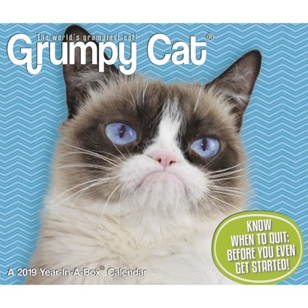 2019 Grumpy Cat Desk Calendar, by ACCO Brands (Best Cat Videos 2019)