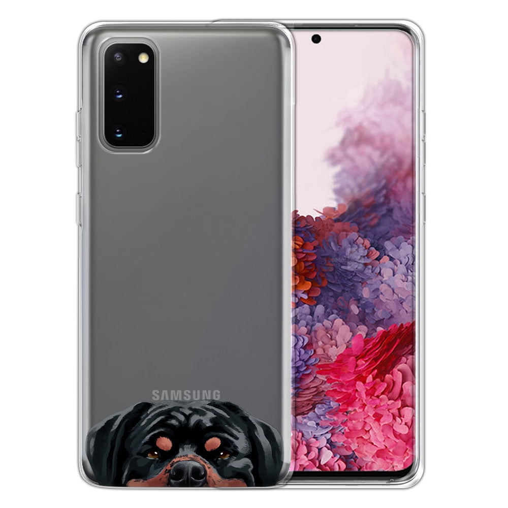 german shorthaired pointer protective