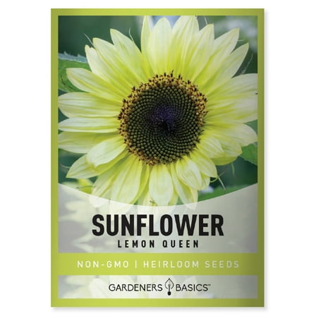 Lemon Queen Sunflower Seeds