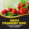 thumbnail image 3 of California Scents Can/Hidden Air Freshener (Shasta Strawberry Scent, 1 Pack), 3 of 4