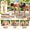 PRO, variant on Yinyangic Wooden Push Up Bars For Calisthenics Pair