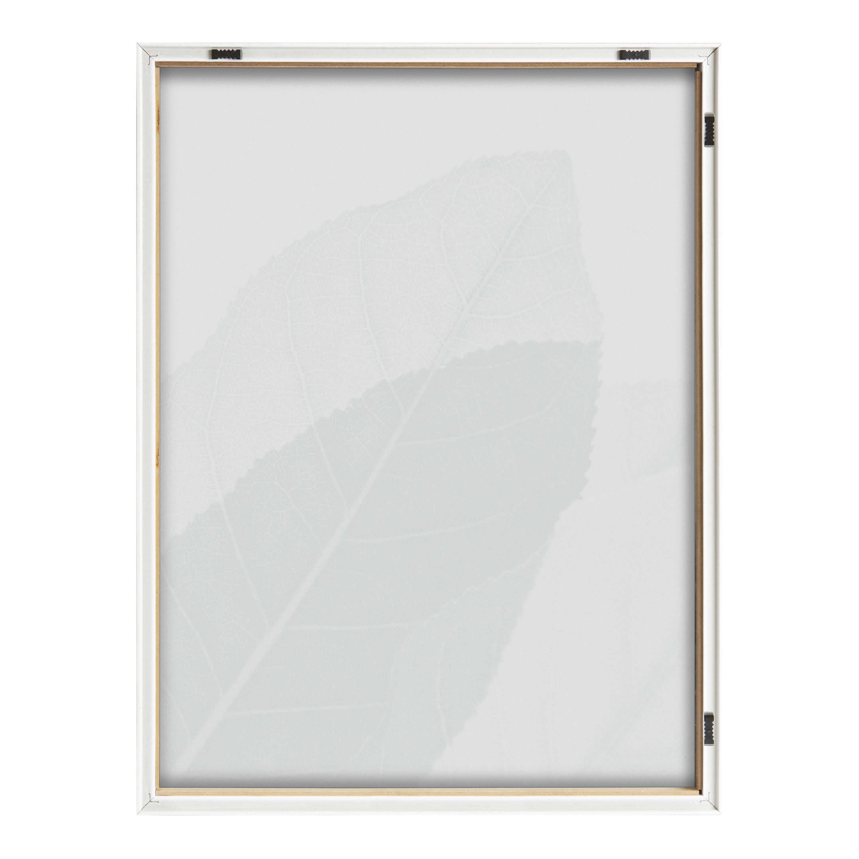 Blake Modern Green Leaf Botanical II 18 in x 24 in Framed Photography Art Prints, by Kate and Laurel
