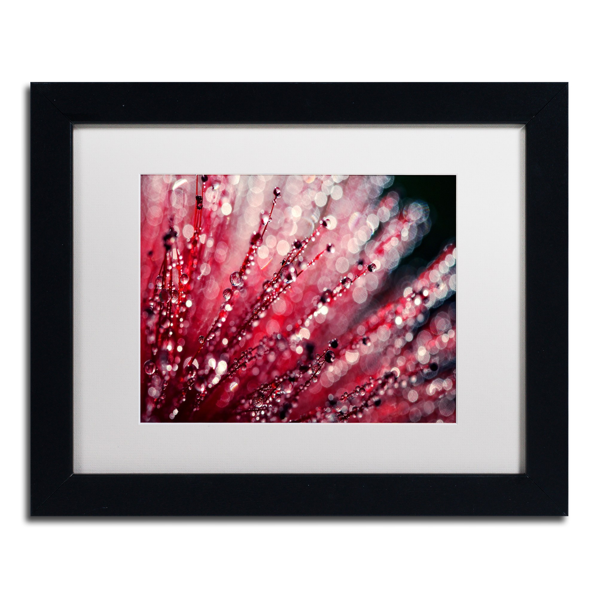 Trademark Fine Art "Sonata in Red" Canvas Art by Beata Czyzowska Young, White Matte, Black Frame