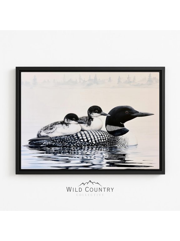Loon Two Chicks On Glassy Water At First Light Tranquil Poster Home Decor Office Wall Art