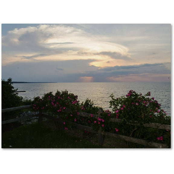 Trademark Fine Art "Roses in Bloom Along the Lake" Canvas Art by Kurt Shaffer