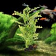 thumbnail image 3 of SHOWERORO Adorno Para Pecera Plásticas Realistas Para Acuario Con Base Estable, 3 of 8