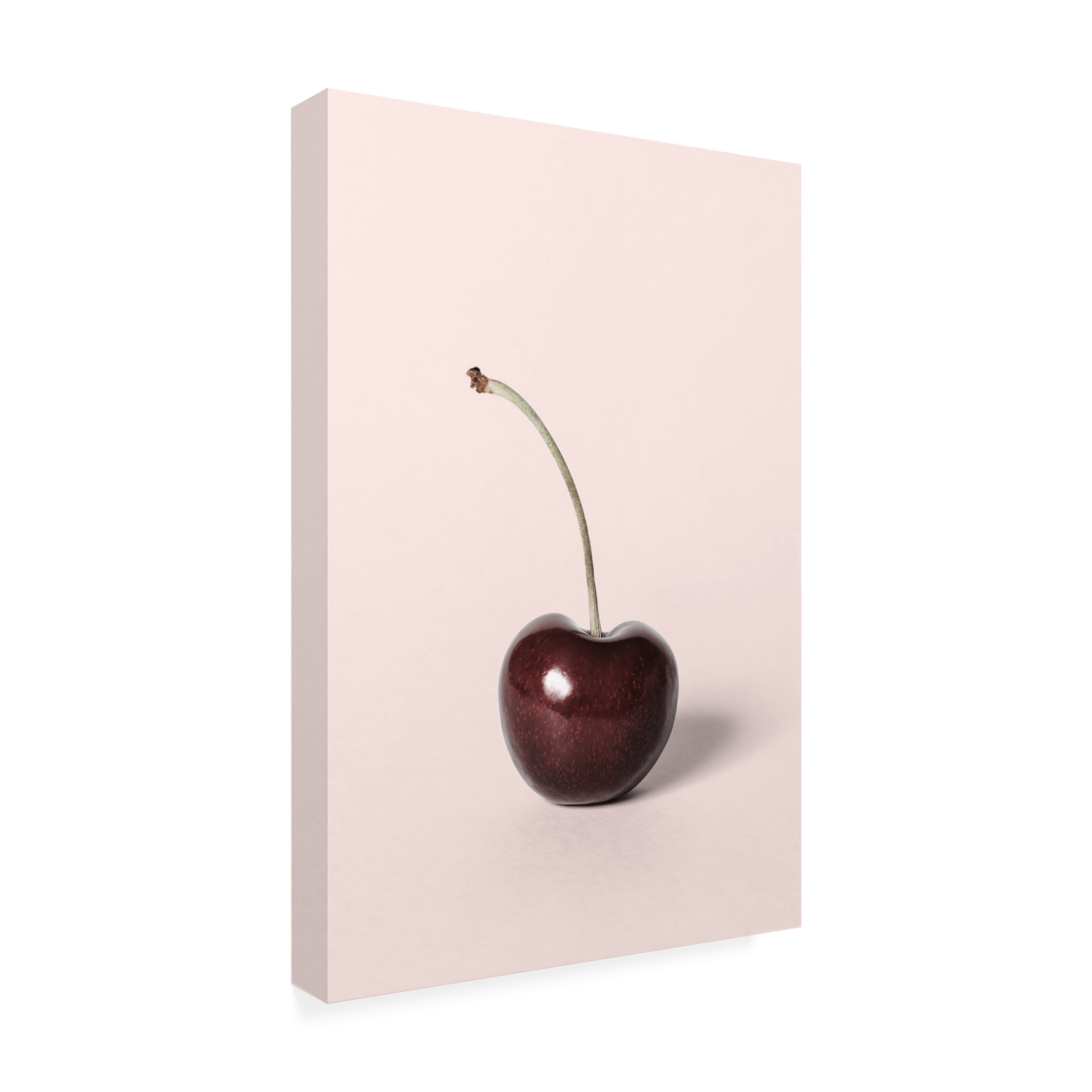 Trademark Fine Art Pictufy Studio Single Cherry Canvas Wall Art